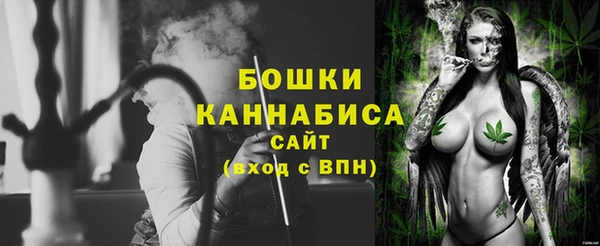 спиды Богородск