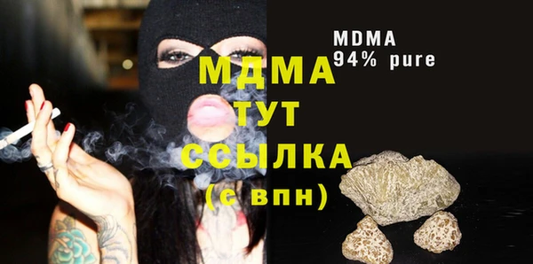 прущие грибы Богданович
