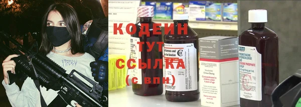 прущие грибы Богданович
