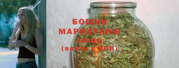 спиды Богородск