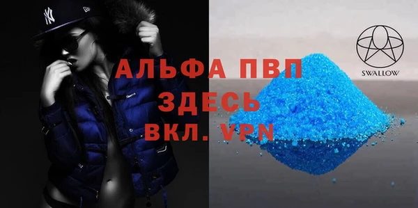 крисы Богородицк