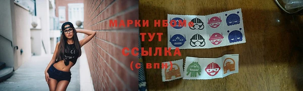 крисы Богородицк