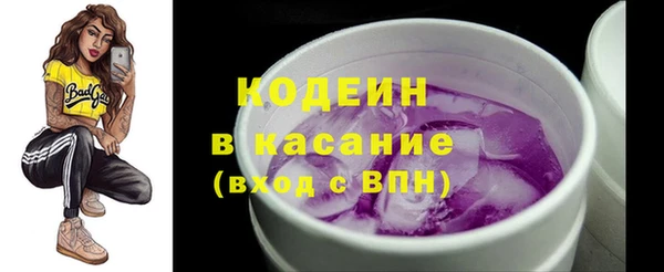 прущие грибы Богданович