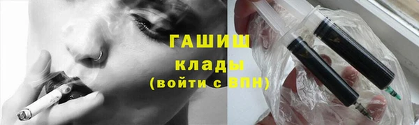 крисы Богородицк