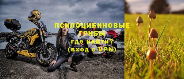 спиды Богородск