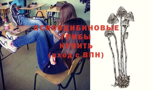 прущие грибы Тайга