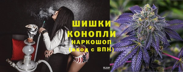 прущие грибы Богданович