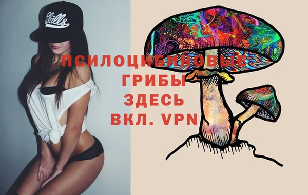крисы Богородицк