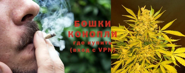 крисы Богородицк