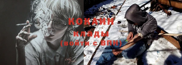 крисы Богородицк