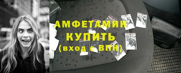 крисы Богородицк