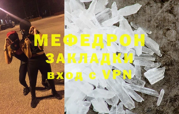 прущие грибы Богданович