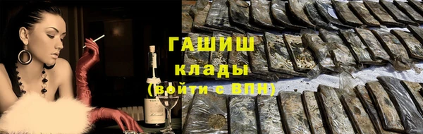 прущие грибы Богданович