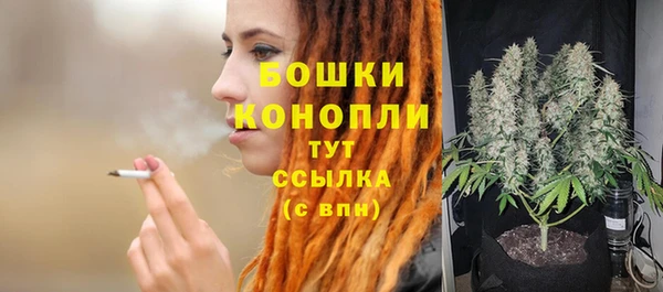 прущие грибы Богданович