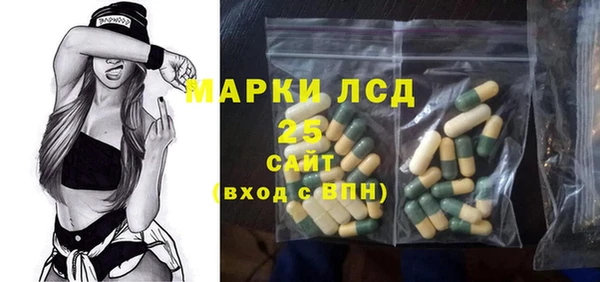 ПСИЛОЦИБИНОВЫЕ ГРИБЫ Сясьстрой