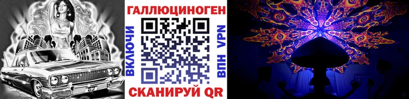 Галлюциногенные грибы Psilocybe  Электрогорск 