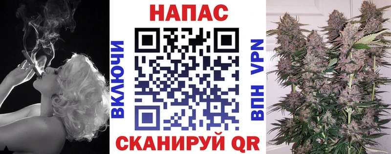 Марихуана планчик  блэк спрут вход  Электрогорск 